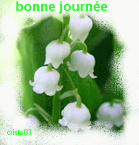 Afficher l'image d'origine