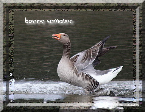 bonne semaine
